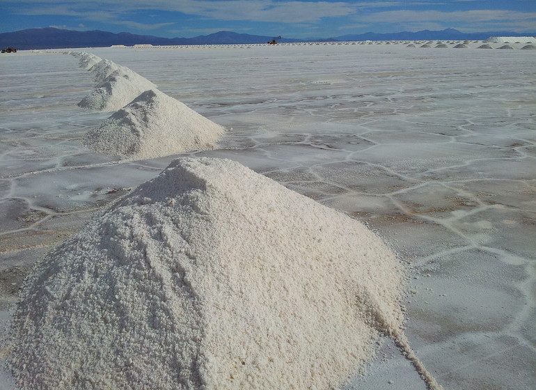 Argentine Voyage Salinas Grandes