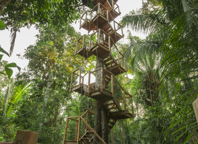 Treehouse Lodge