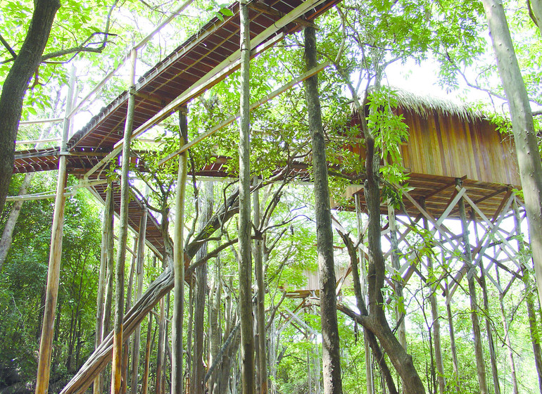 Brésil Voyage Amazonie Juma Lodge pilotis