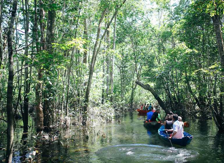 Brésil Voyage Amazon Dream excursion en canoë