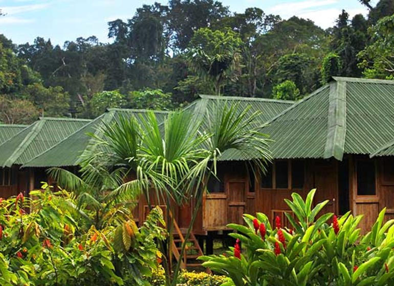 Pérou Voyage Amazonia Eco Lodge