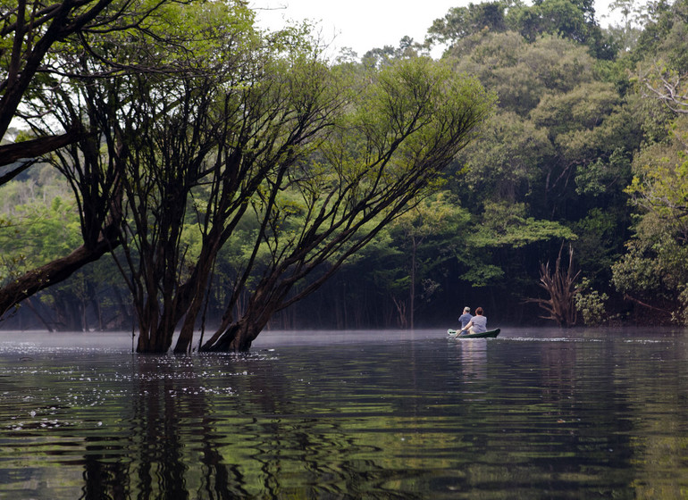 Brésil Voyage Amazonie excursion sur l'eau