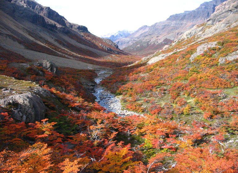 Argentine Voyage Patagonie Aguas Arriba Lodge nature automnale