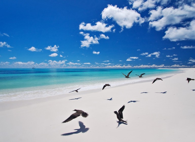 Hotel Bird Island Lodge, Seychelles