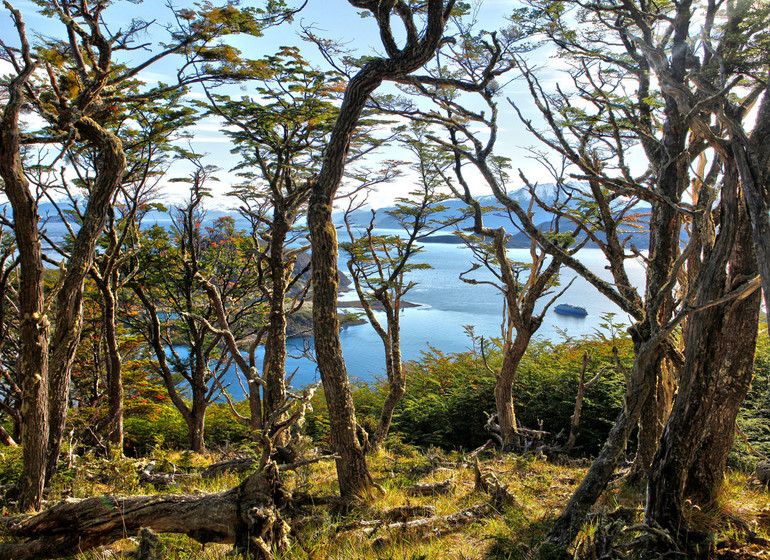 Chili Voyage Patagonia Wulaia Bay