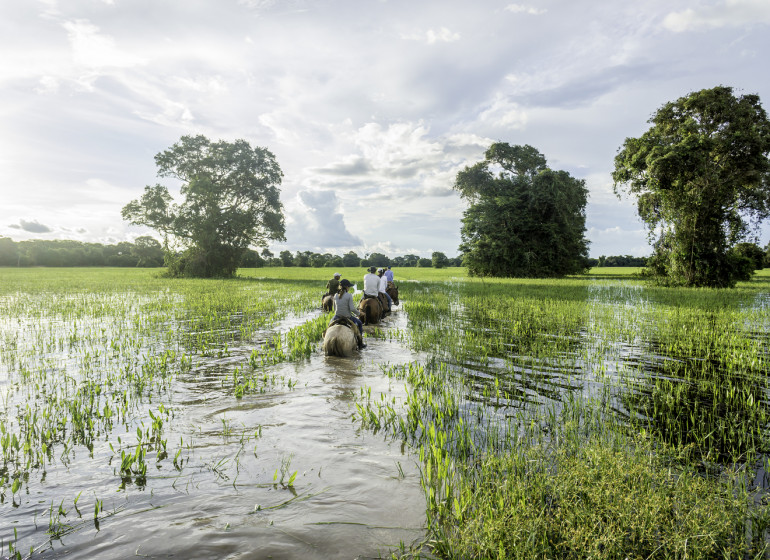 Brésil Voyage Pantanal à cheval