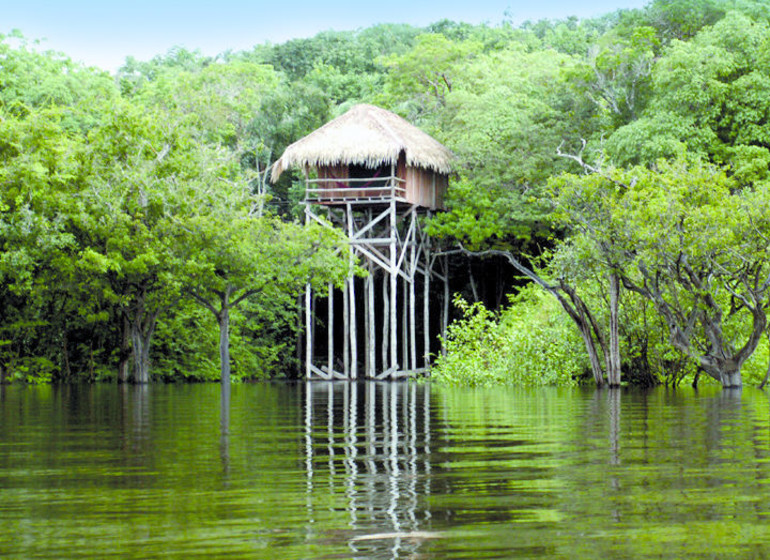 Brésil Voyage Amazonie Juma Lodge