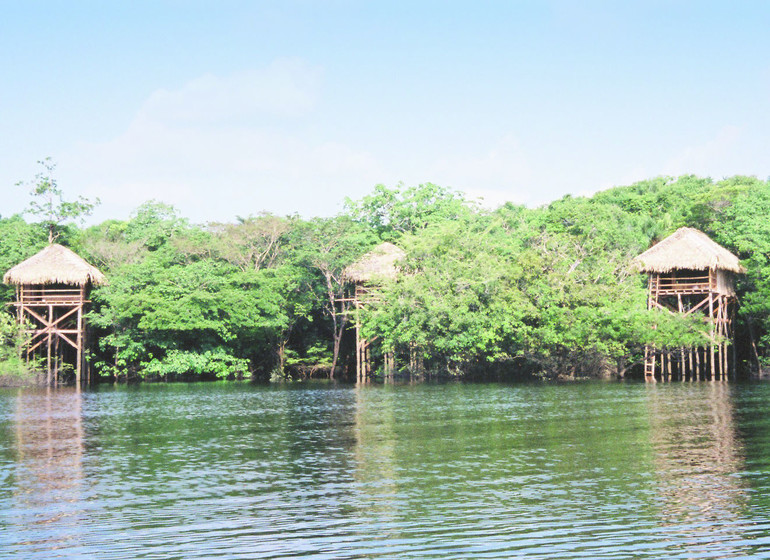 Brésil Voyage Amazonie Juma Lodge chambres sur pilotis