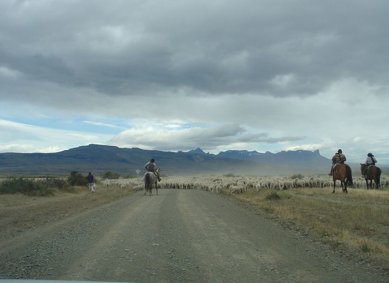 Patagonie Voyage espaces