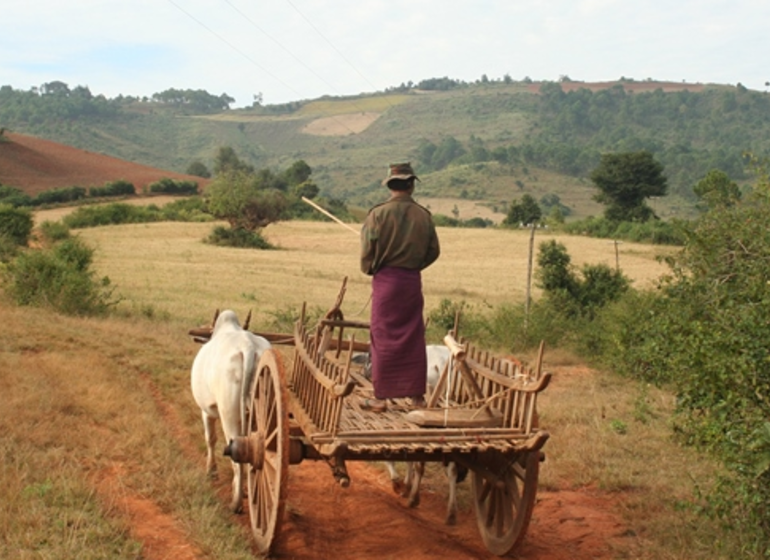 Par un autre chemin