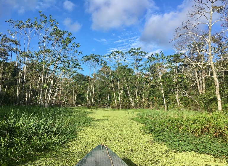 Croisière au cœur de l'Amazonie à bord du MV La Perla