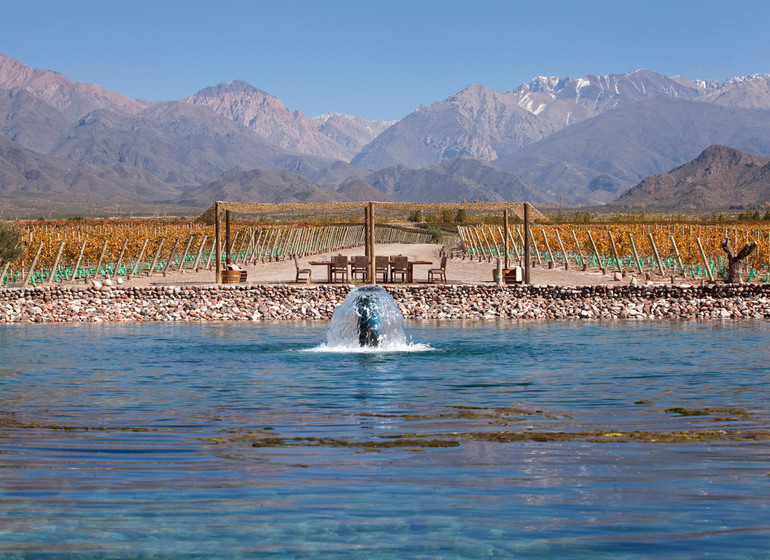 Argentine Voyage Casa de Uco ambiance vignes et Andes