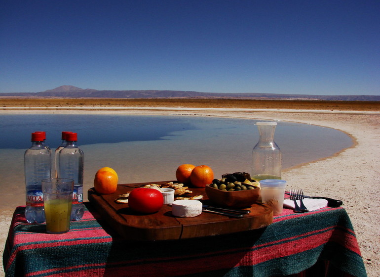 Chili Voyage TIerra Atacama excursion Laguna Cejar