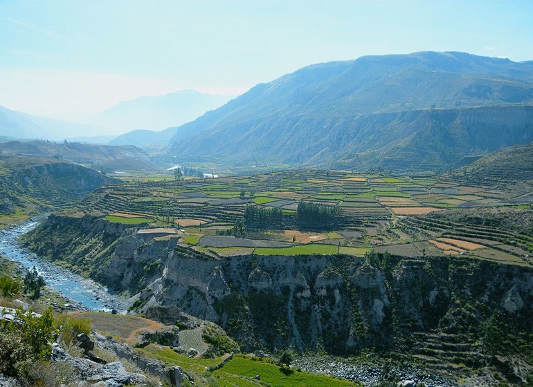 Faune, flore et culture Inca