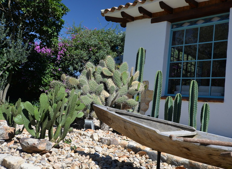 Colombie Voyage Villa de Leyva Casa Terra jardin de cactus