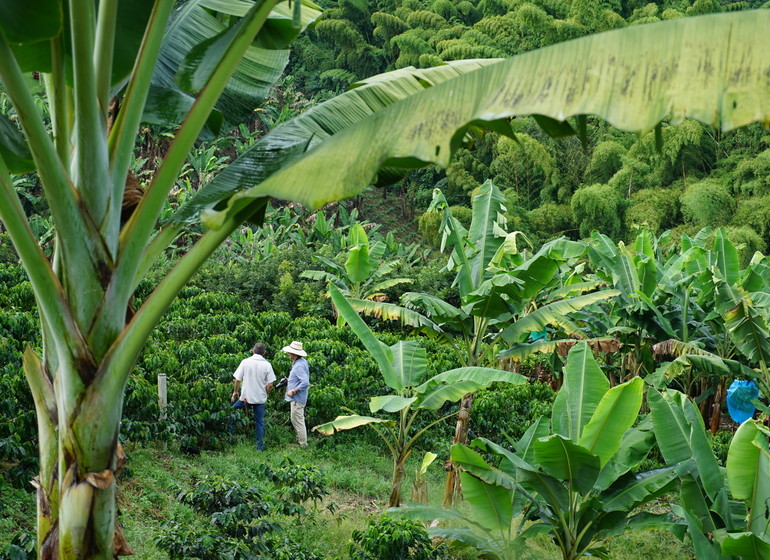 Colombie haute en couleurs