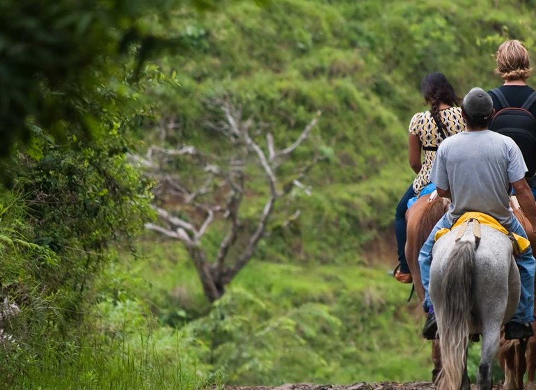 Costa Rica Voyage excursion équestre