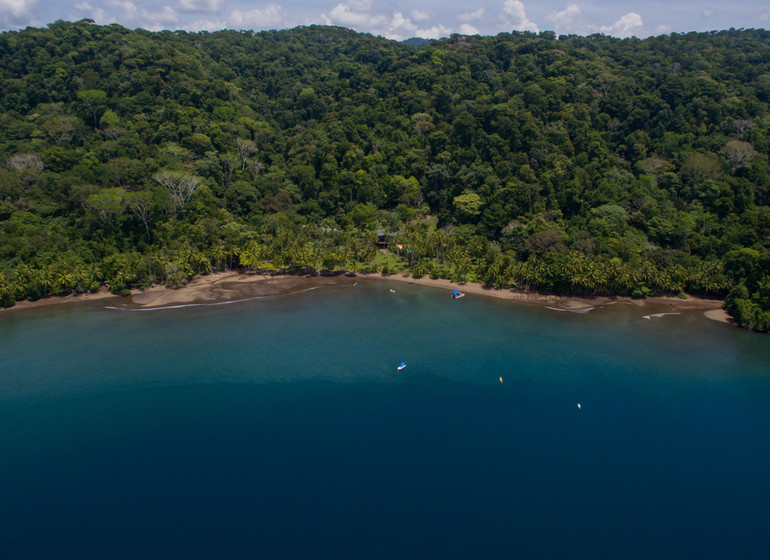 Aperçus exclusifs de la Côte Pacifique