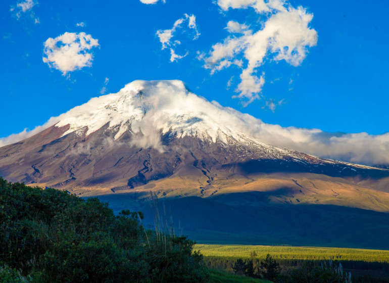 Tren Ecuador