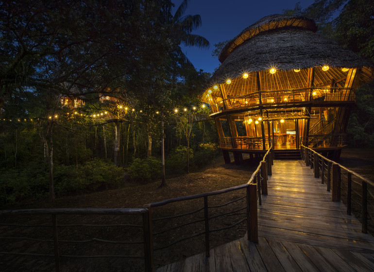 Treehouse Lodge