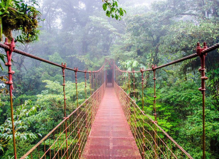 Costa Rica Voyage pont suspendu