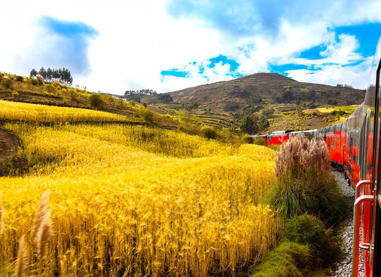 Tren Ecuador