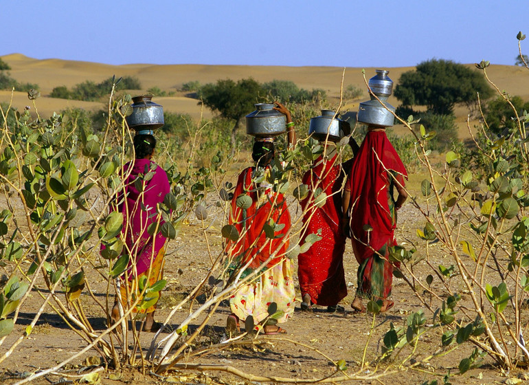 Trésors du Gujarat