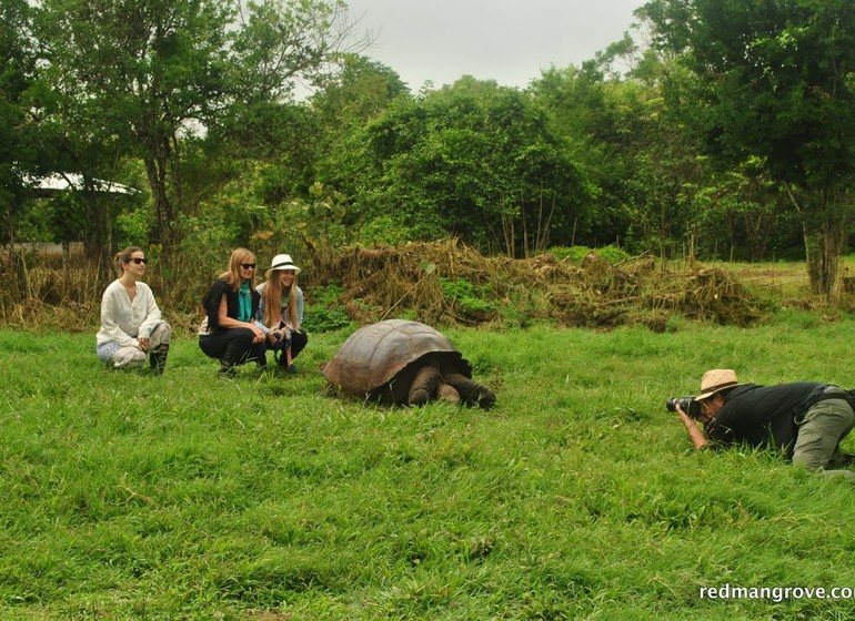 Sur les pas de Charles Darwin