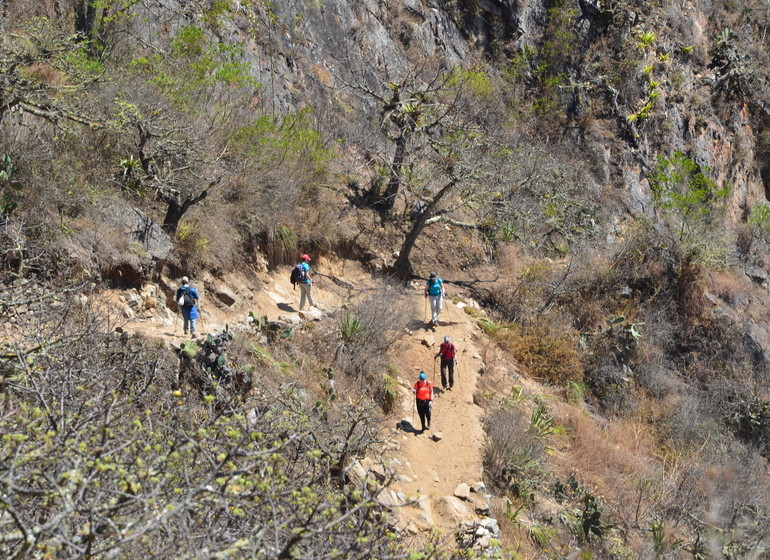 Choquequirao Trek