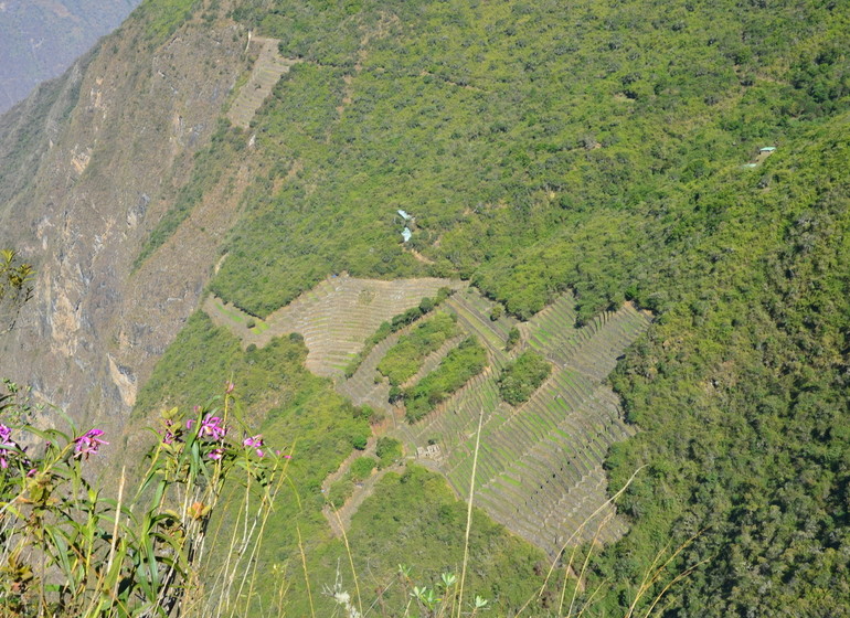 Choquequirao Trek