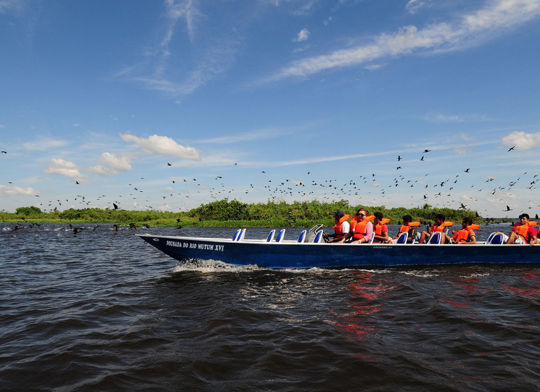 Brésil Voyage Pantanal observations en bateau