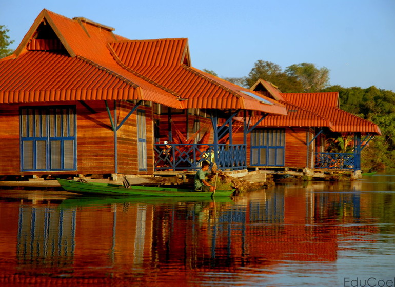 Brésil Voyage Mamirauá Reserve Uakari Lodge