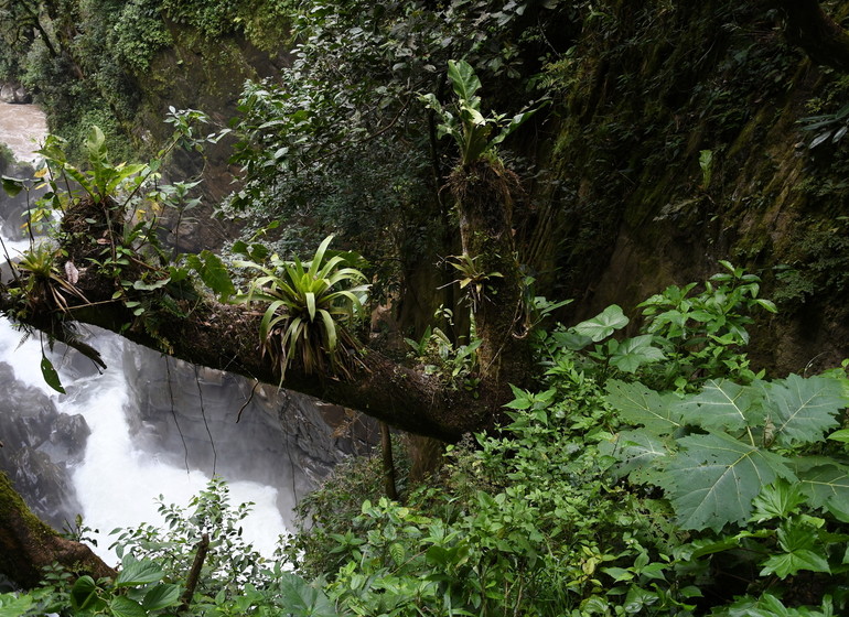 Équateur écotouristique