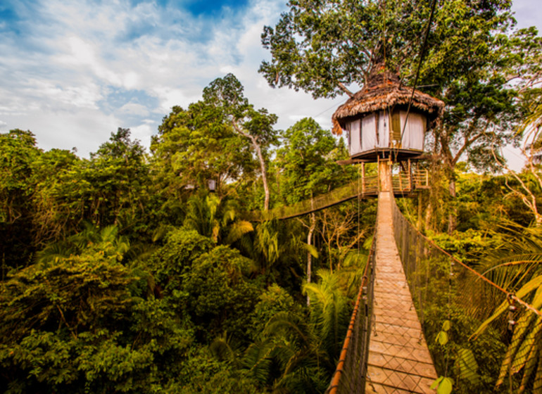 Treehouse Lodge