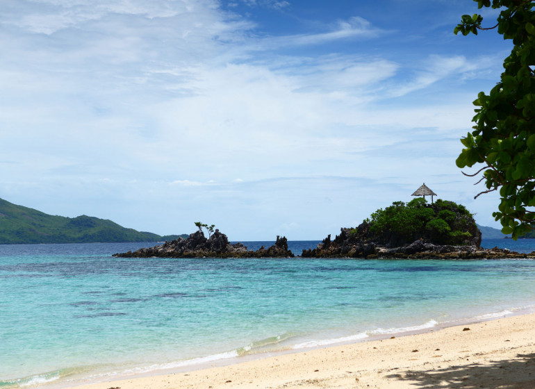 Philippines Asie Flower Island Tay Tay Palawan