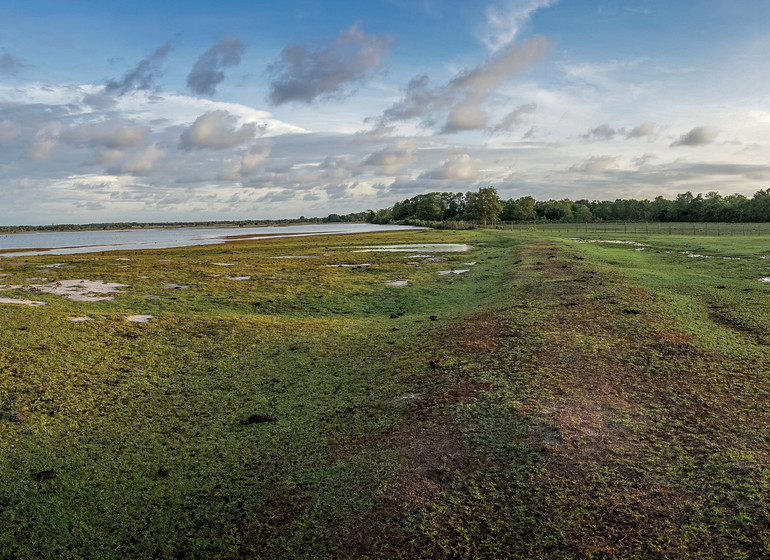 Brésil Voyage Amazonie Île de Marajó