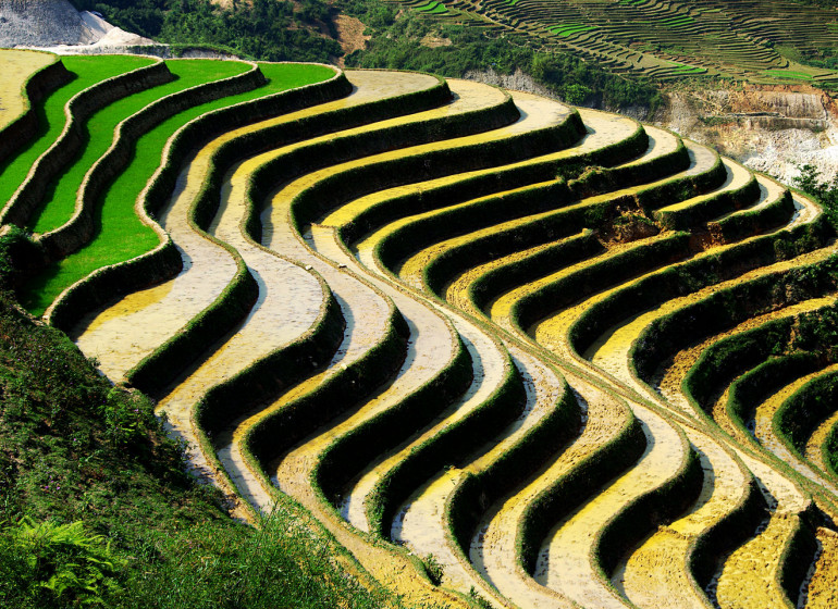 Sapa et sa région