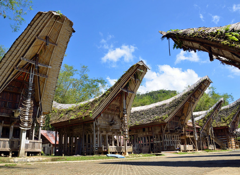 La traversée de Sulawesi