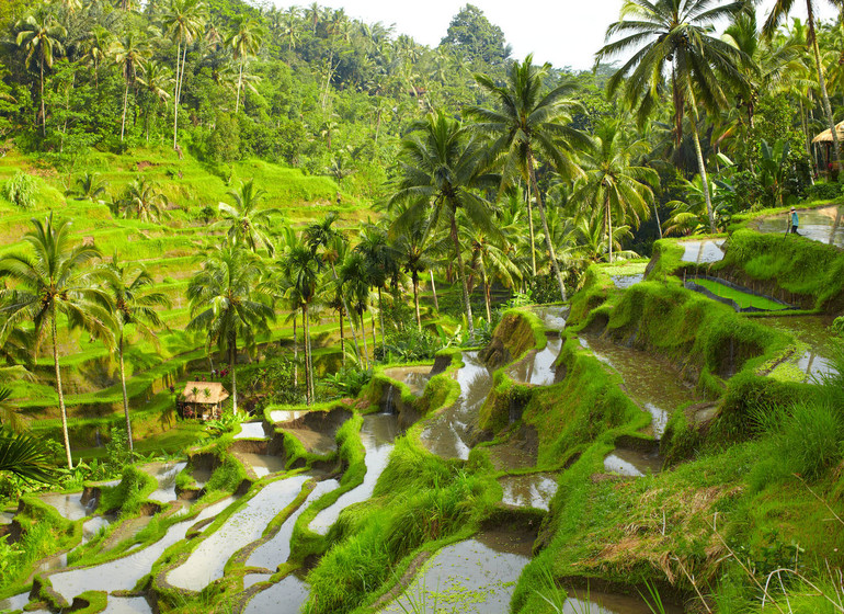 Bali pour petits et grands