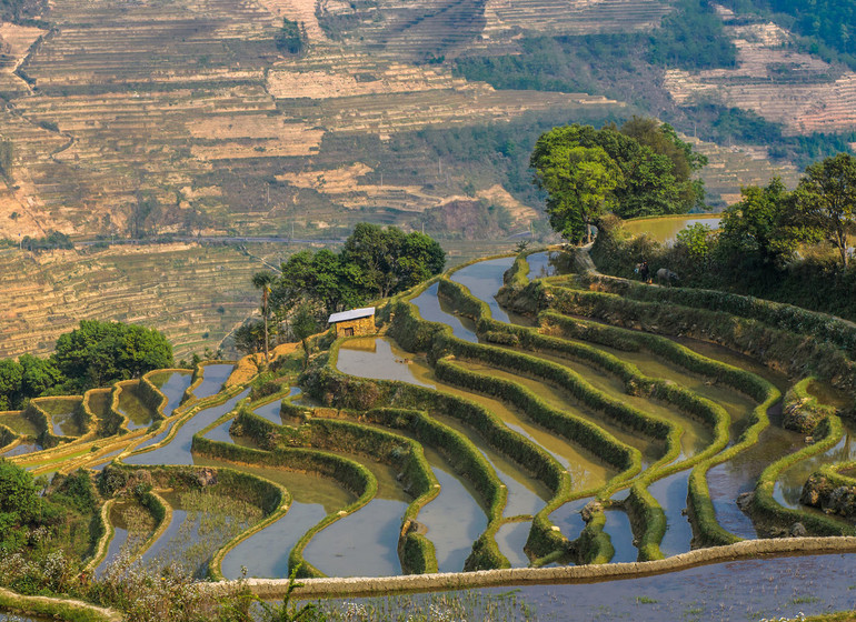 Chine Première