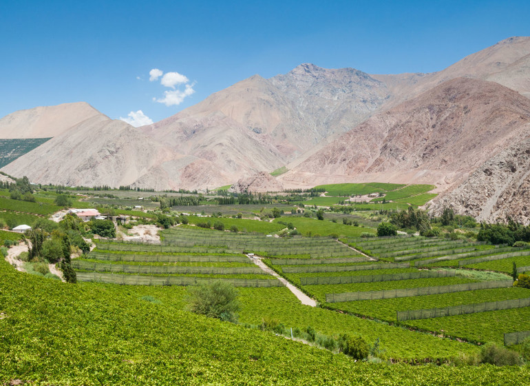 Chili Voyage Vallée d'Elqui