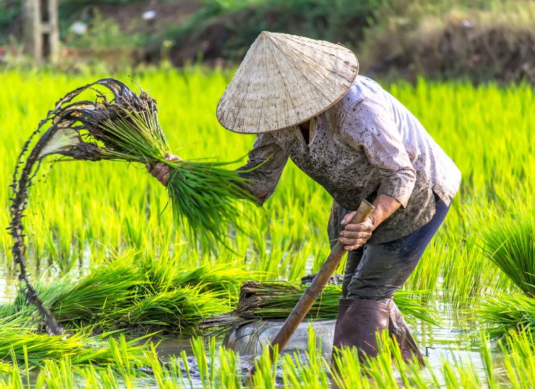 Découverte d'un autre Vietnam