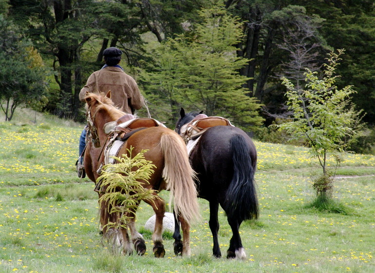 Chili Voyage Carreterra Austral Mallin Colorado chevaux