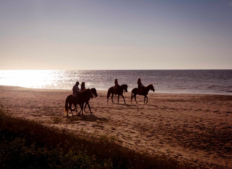 Arrenas de Mancora