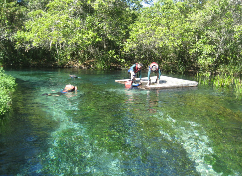 Brésil Voyage Bonito snorkelling