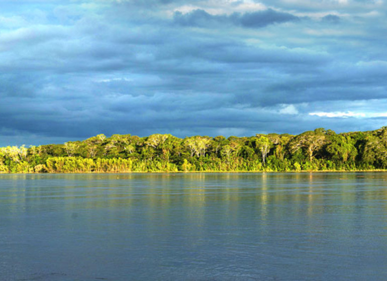 Pérou Voyage ambiance Amazonie