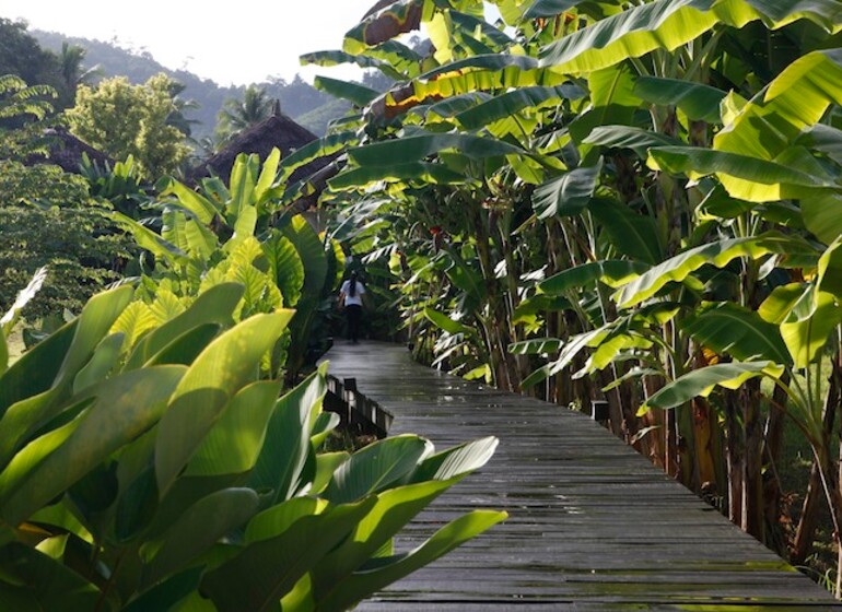 Bangsak Village