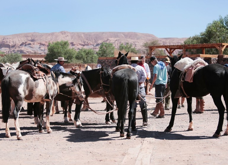 Chili Voyage Los Cumbres Atacama excursion à cheval