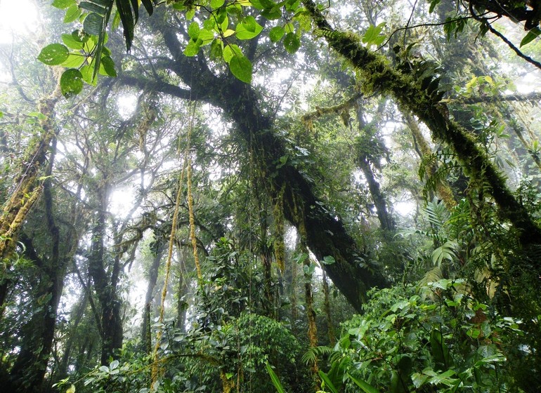 Volcans & Réserves du Costa Rica