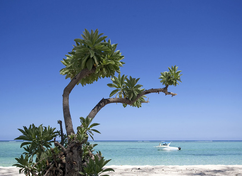 Combiné Réunion - Maurice